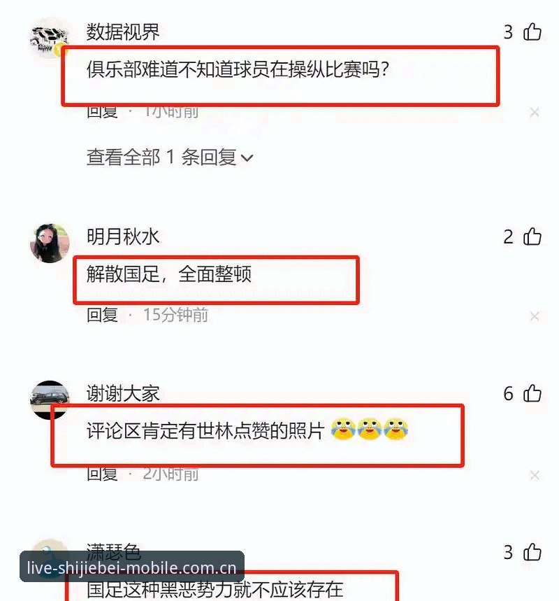 手机买球官方网站 揭秘足坛“禁足风暴”:17人终身禁赛背后的暗流与真相